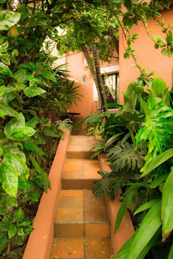 Raiz Hostel Medellín Kültér fotó