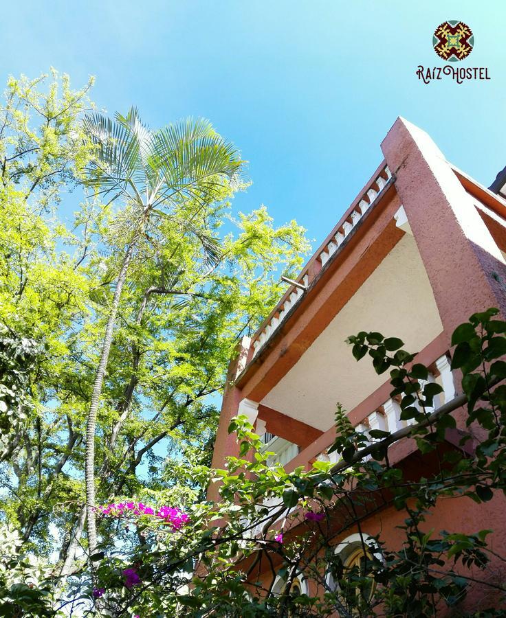 Raiz Hostel Medellín Kültér fotó